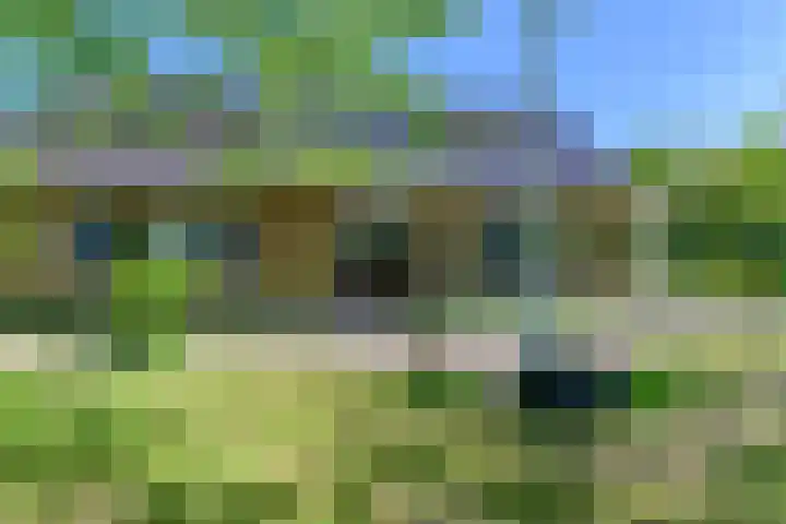 Lytsegeast 28 Tytsjerk thumbnail 42