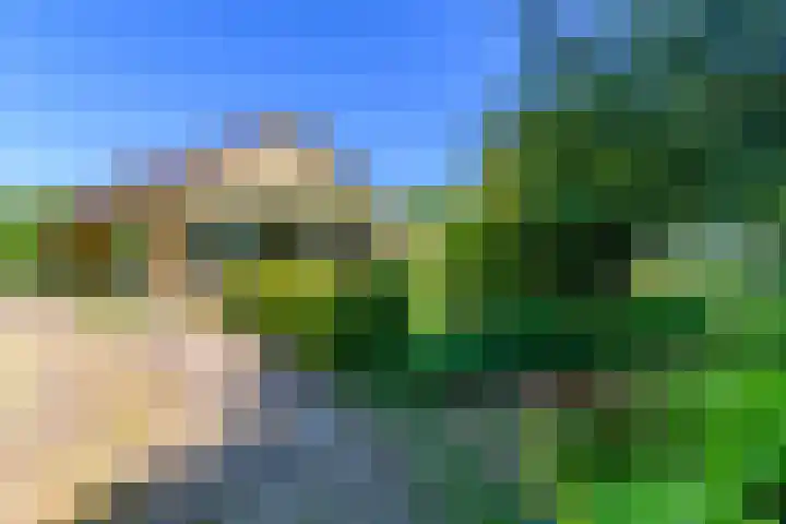 Lytsegeast 28 Tytsjerk thumbnail 47