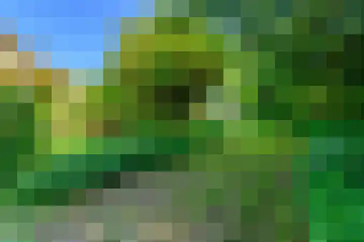 Lytsegeast 28 Tytsjerk thumbnail 48