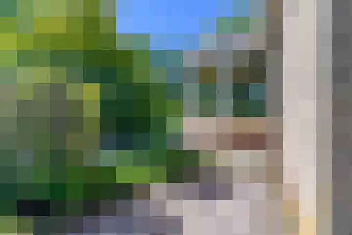 Lytsegeast 28 Tytsjerk thumbnail 50