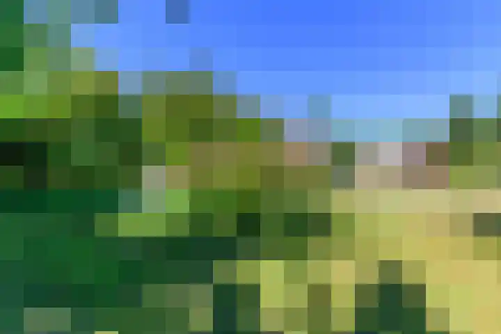 Lytsegeast 28 Tytsjerk thumbnail 51