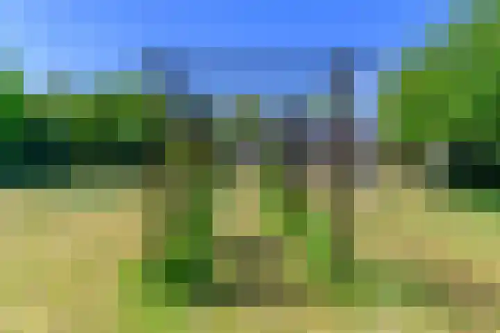 Lytsegeast 28 Tytsjerk thumbnail 52