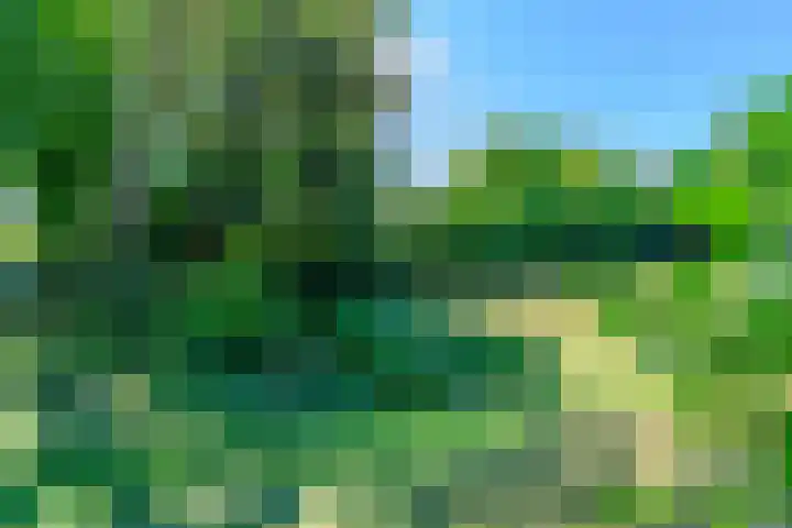 Lytsegeast 28 Tytsjerk thumbnail 54