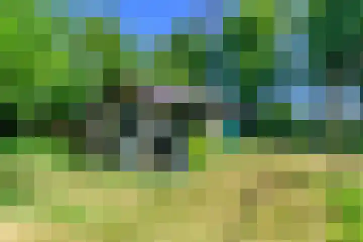 Lytsegeast 28 Tytsjerk thumbnail 55