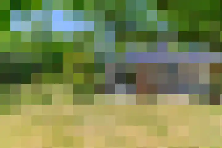 Lytsegeast 28 Tytsjerk thumbnail 56