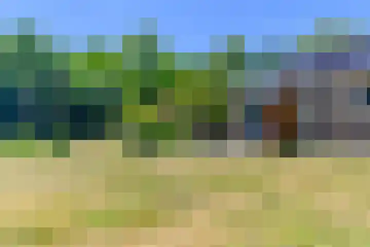 Lytsegeast 28 Tytsjerk thumbnail 57