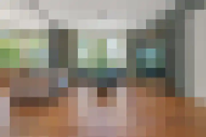 Lytsegeast 28 Tytsjerk thumbnail 6
