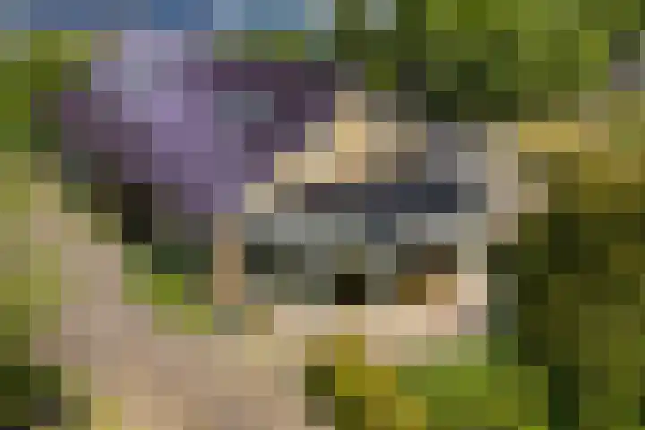 Lytsegeast 28 Tytsjerk thumbnail 65