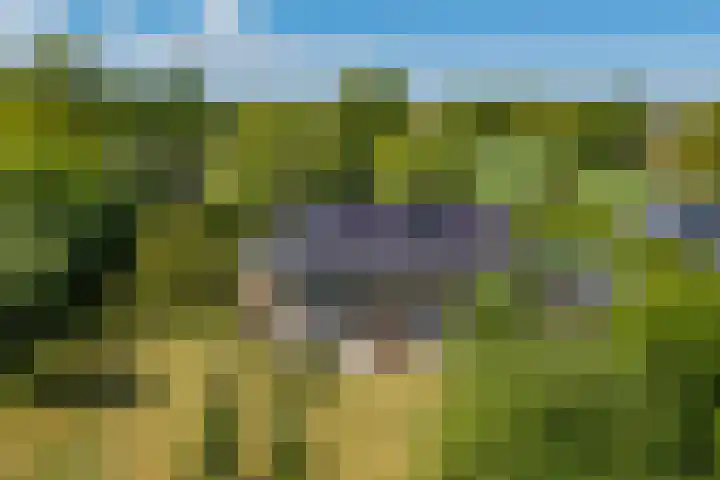 Lytsegeast 28 Tytsjerk thumbnail 68