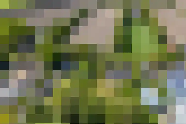 Lytsegeast 28 Tytsjerk thumbnail 70