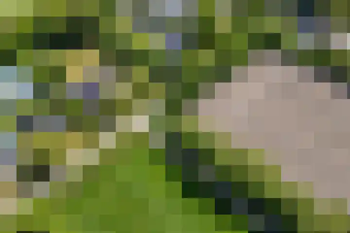 Lytsegeast 28 Tytsjerk thumbnail 71