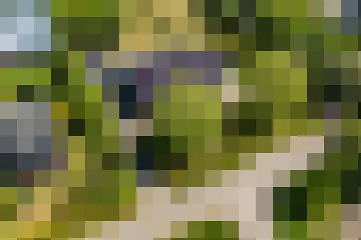 Lytsegeast 28 Tytsjerk thumbnail 72
