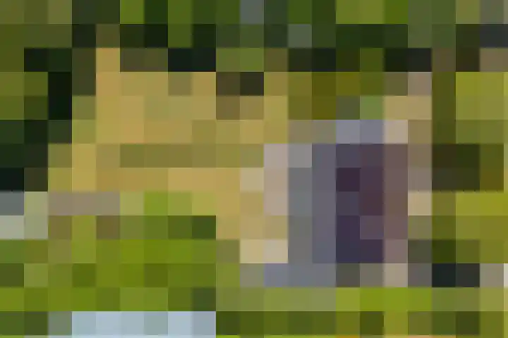 Lytsegeast 28 Tytsjerk thumbnail 73
