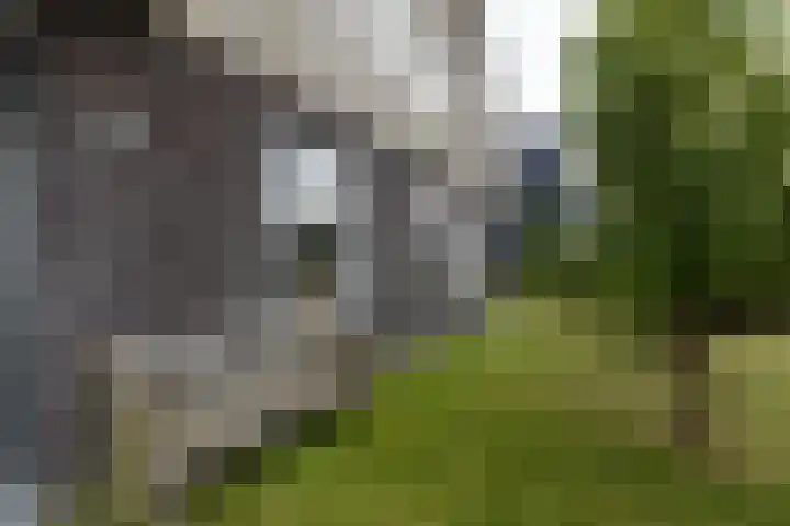 Lytselaard 8 Dokkum thumbnail 17