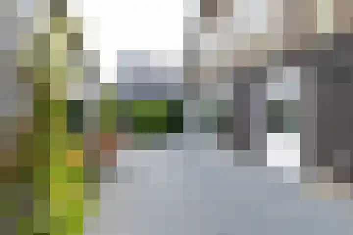Lytselaard 8 Dokkum thumbnail 67