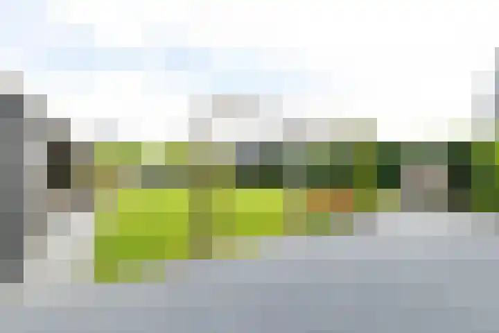 Lytselaard 8 Dokkum thumbnail 69