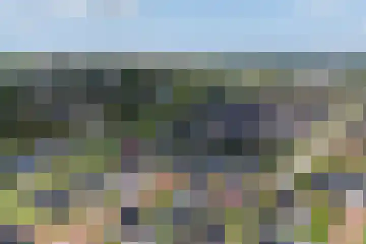 Lytselaard 8 Dokkum thumbnail 7