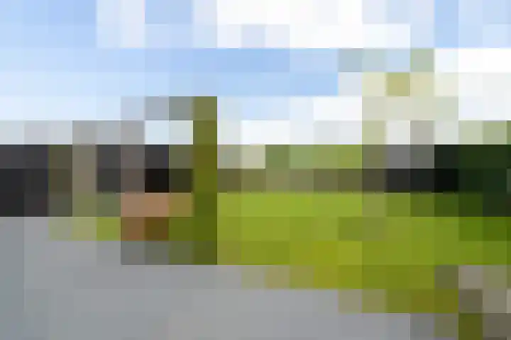 Lytselaard 8 Dokkum thumbnail 70