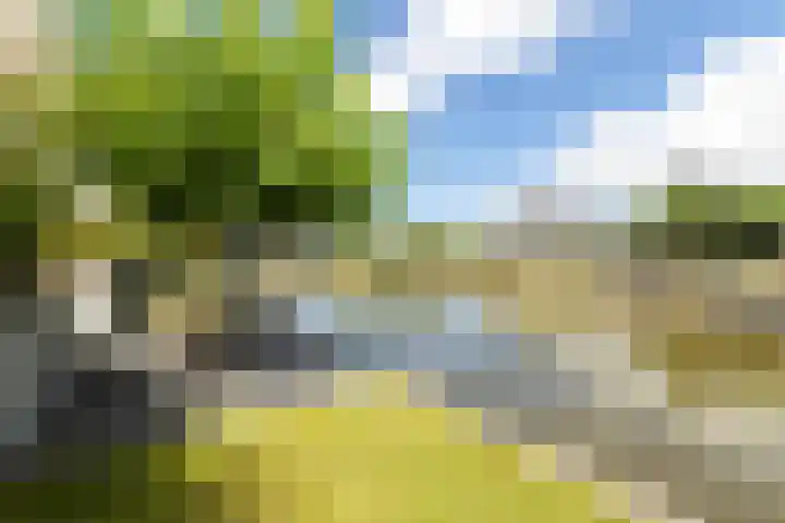 Lytselaard 8 Dokkum thumbnail 78
