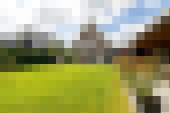 Lytselaard 8 Dokkum thumbnail 80