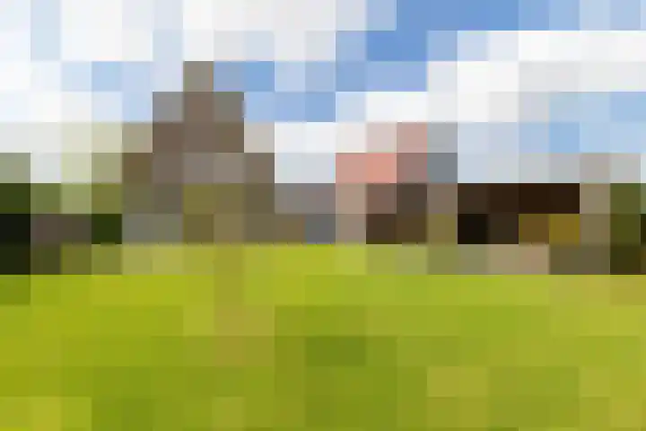 Lytselaard 8 Dokkum thumbnail 81