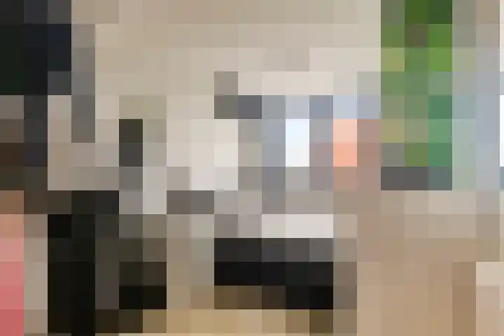 M.A.de Ruijterlaan 18 Goes thumbnail 11