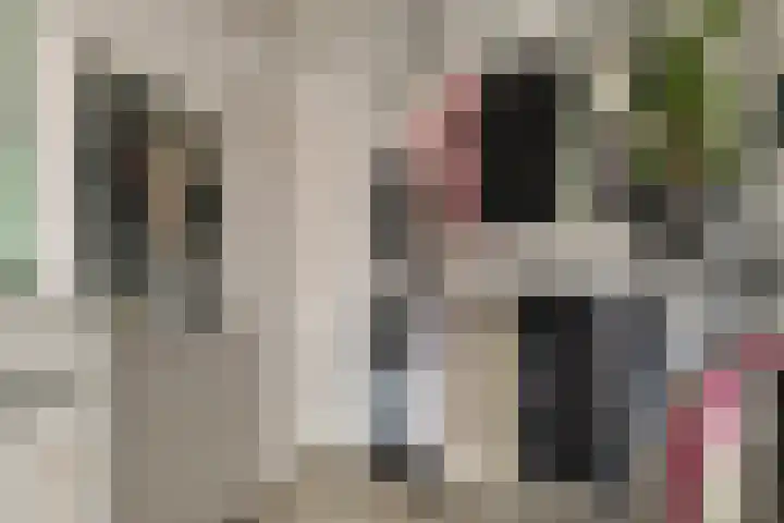 M.A.de Ruijterlaan 18 Goes thumbnail 12