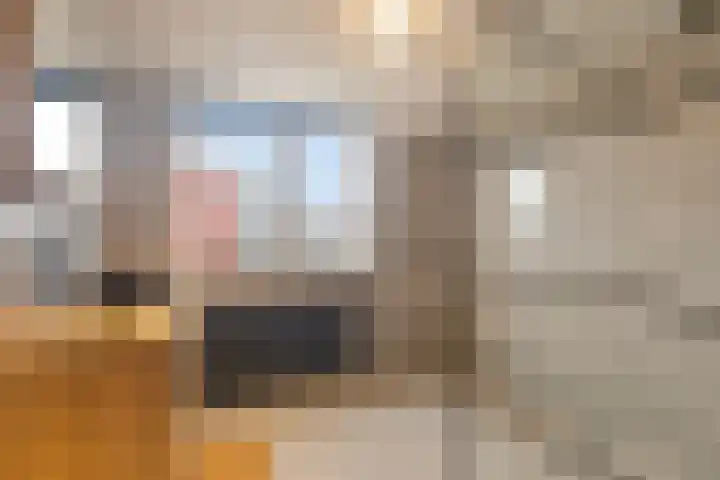 M.A.de Ruijterlaan 18 Goes thumbnail 13
