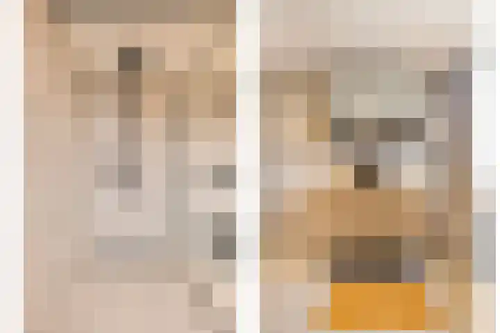 M.A.de Ruijterlaan 18 Goes thumbnail 14