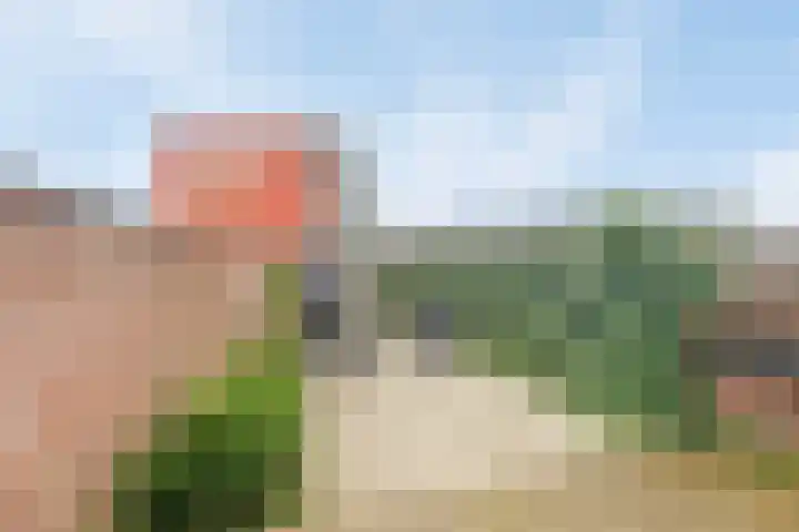 M.A.de Ruijterlaan 18 Goes thumbnail 20
