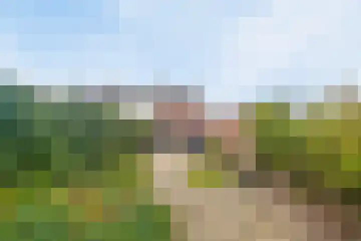 M.A.de Ruijterlaan 18 Goes thumbnail 21