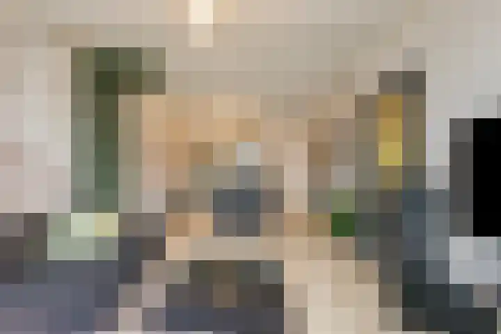 M.A.de Ruijterlaan 18 Goes thumbnail 6