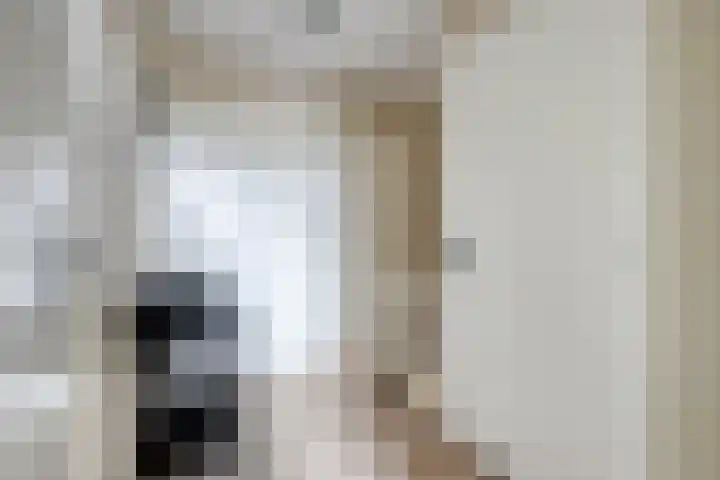 M.A.de Ruijterlaan 21 Goes thumbnail 15