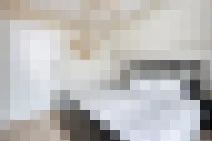 M.A.de Ruijterlaan 21 Goes thumbnail 18