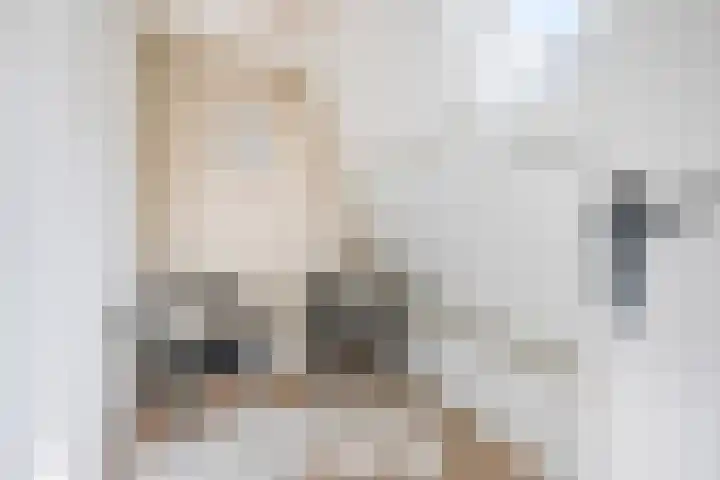 M.A.de Ruijterlaan 21 Goes thumbnail 21