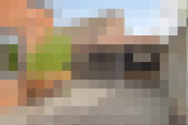 M.A.de Ruijterlaan 21 Goes thumbnail 25