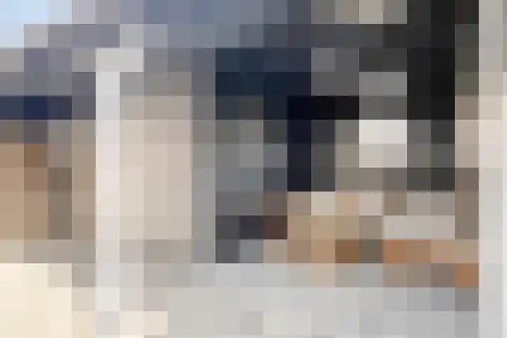 M.A.de Ruijterlaan 21 Goes thumbnail 26