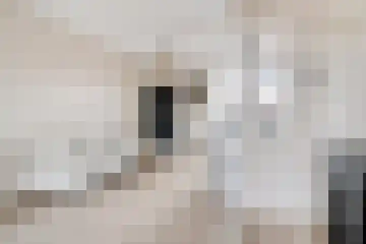 M.A.de Ruijterlaan 21 Goes thumbnail 5