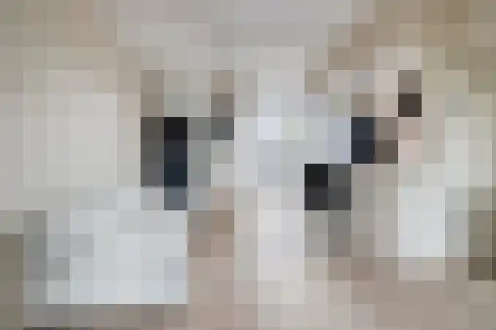 M.A.de Ruijterlaan 21 Goes thumbnail 6