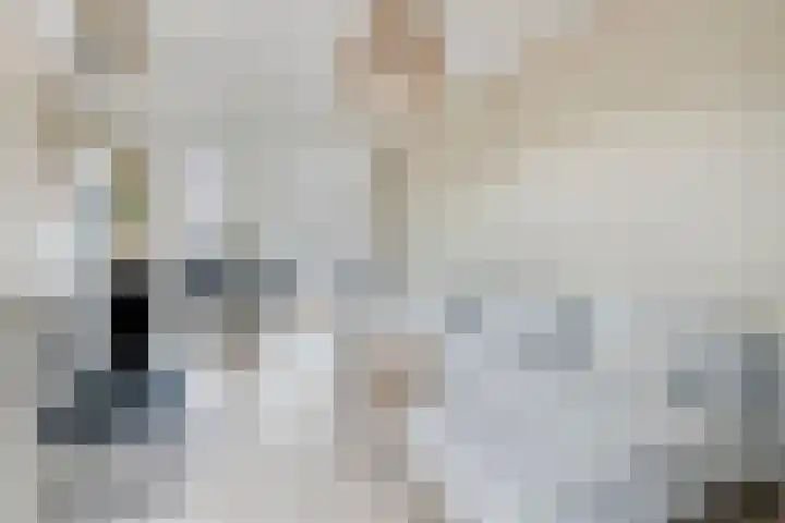 M.A.de Ruijterlaan 21 Goes thumbnail 7