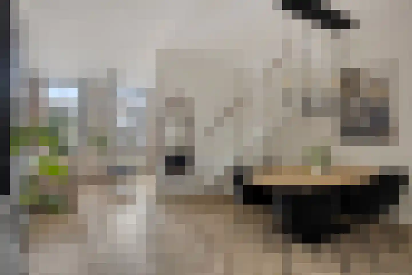 M.A.de Ruijterlaan 26 Goes thumbnail 17