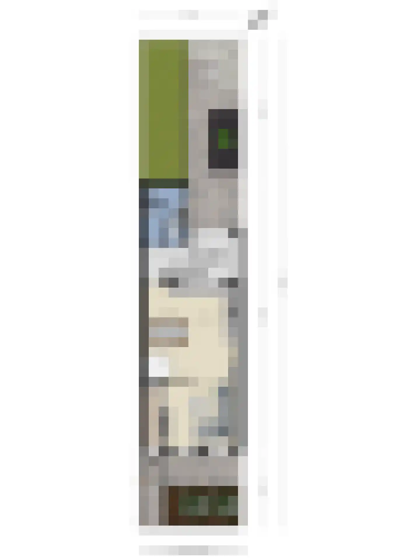 M.A.de Ruijterlaan 26 Goes thumbnail 46