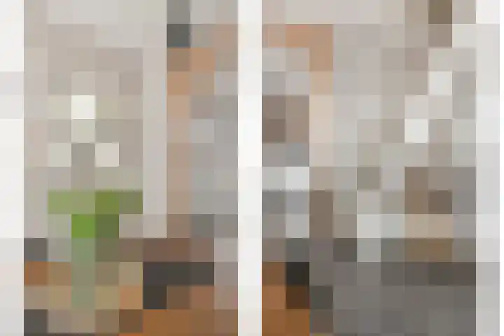 M.A.de Ruijterlaan 34 Goes thumbnail 12