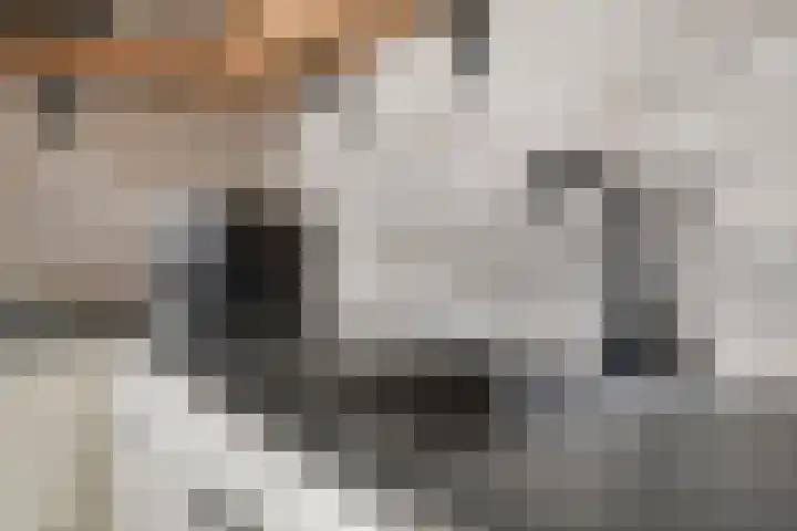 M.A.de Ruijterlaan 34 Goes thumbnail 16