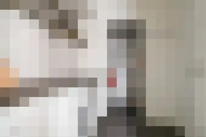 M.A.de Ruijterlaan 34 Goes thumbnail 19