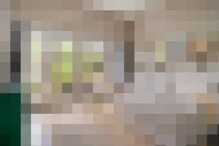 M.A.de Ruijterlaan 34 Goes thumbnail 24