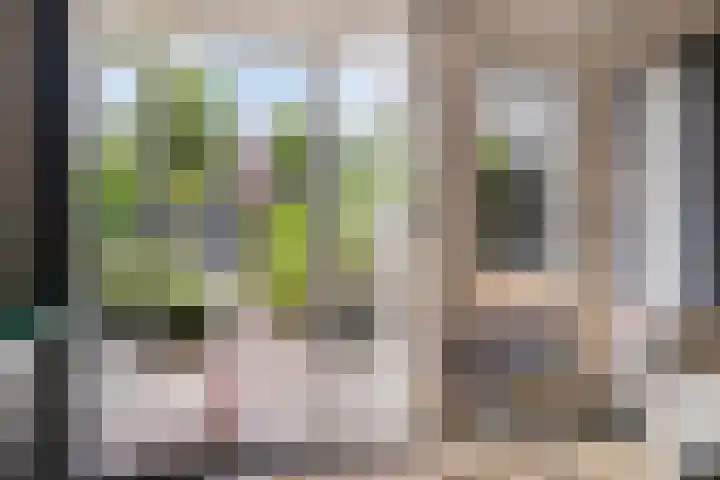 M.A.de Ruijterlaan 34 Goes thumbnail 26
