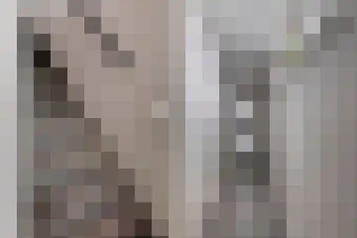 M.A.de Ruijterlaan 34 Goes thumbnail 28