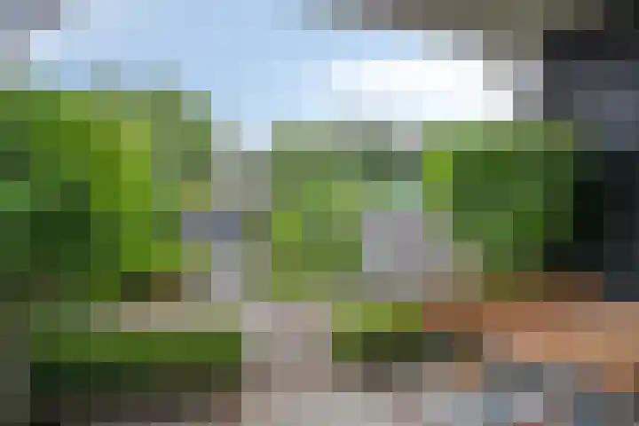 M.A.de Ruijterlaan 34 Goes thumbnail 43