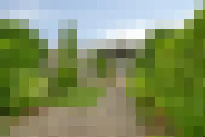 M.A.de Ruijterlaan 34 Goes thumbnail 44